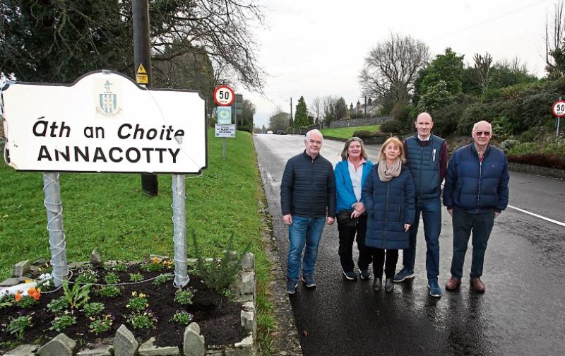 Road in Limerick village is an 'accident waiting to happen' - campaign for footpath continues