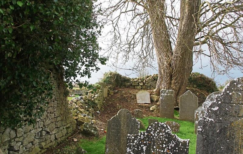 Councillors' disgusted at ‘cremated remains only’ policy at Limerick cemetery