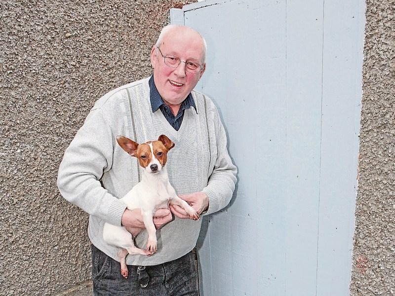 'Prison break' for lost Limerick puppy