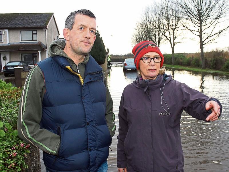 Quinlivan hopes to make history for Limerick with SF seat