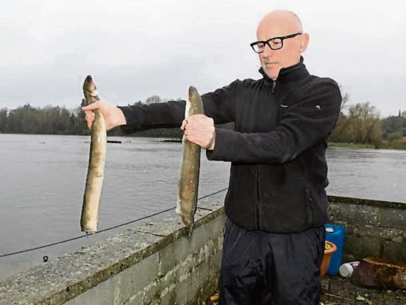 Limerick-based scientist calls lower Shannon a 'sick' river