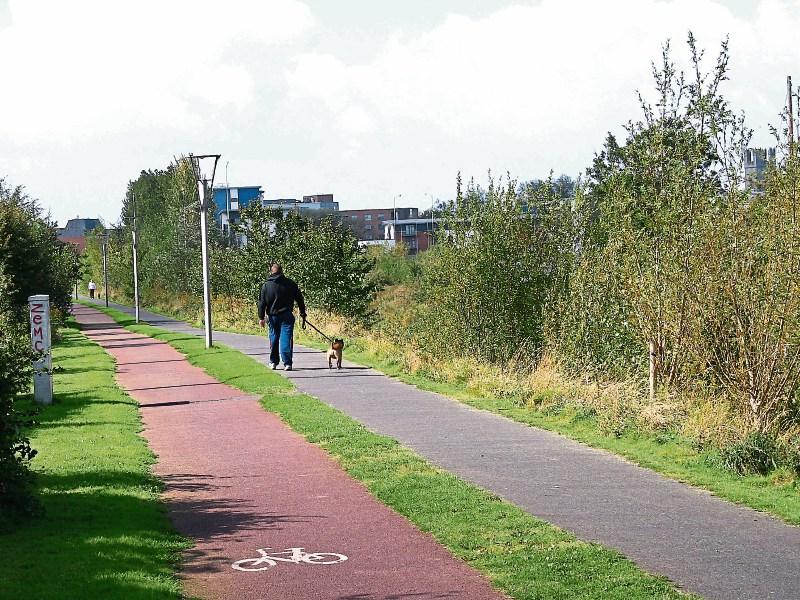 Let's keep Limerick city looking its best