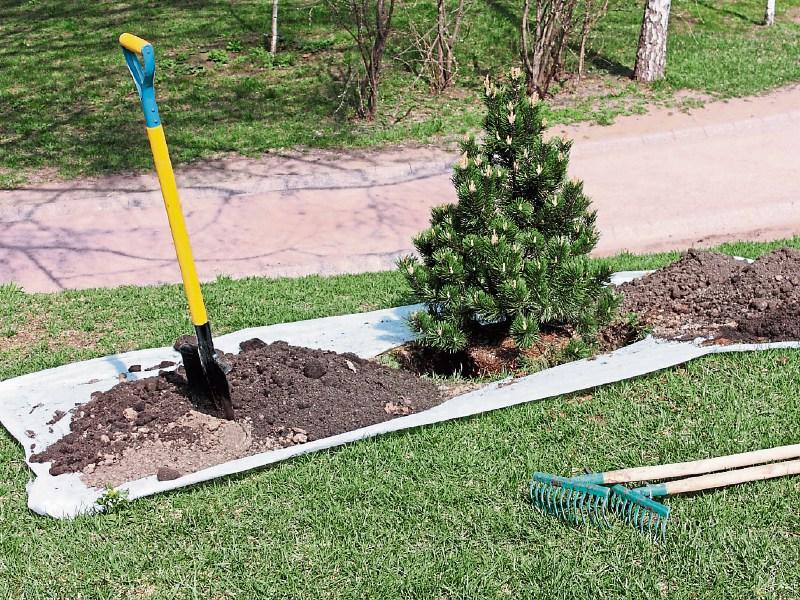 Moving plants in the wrong places