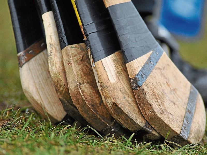 Mary I expected to book place at Fitzgibbon Cup weekend