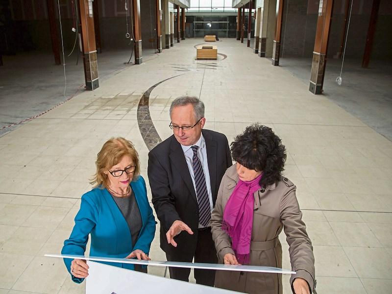 Objection to new Limerick Institute of Technology campus