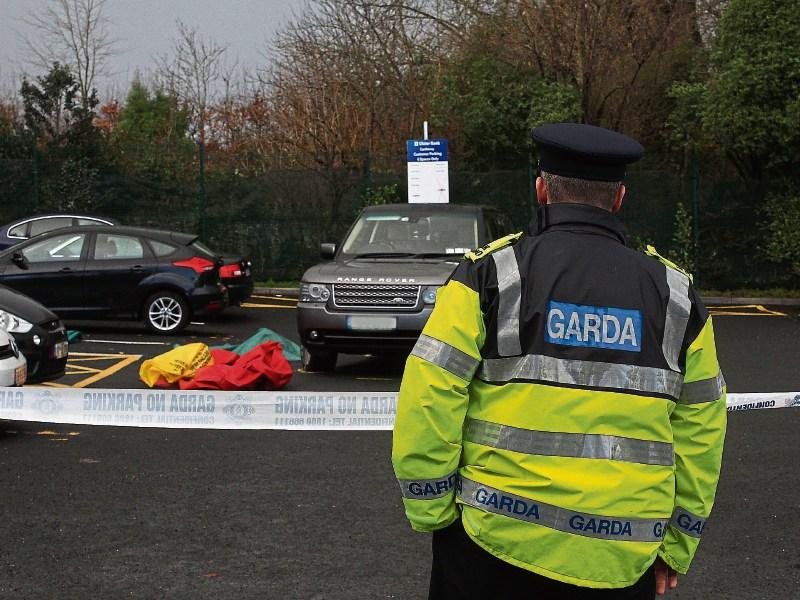 Elderly woman dies following Limerick accident