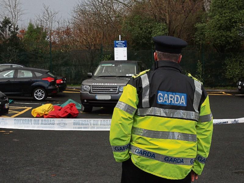 Gardai to speak with Steve Collins following fatal accident