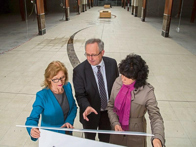 Plans for new Limerick IT campus at Coonagh Cross are stalled