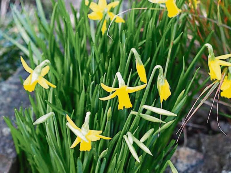 Thankfully spring begins again!