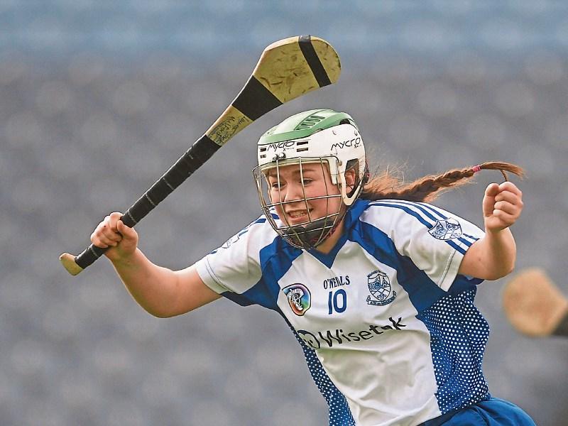Strong Limerick link to Milford camogie success