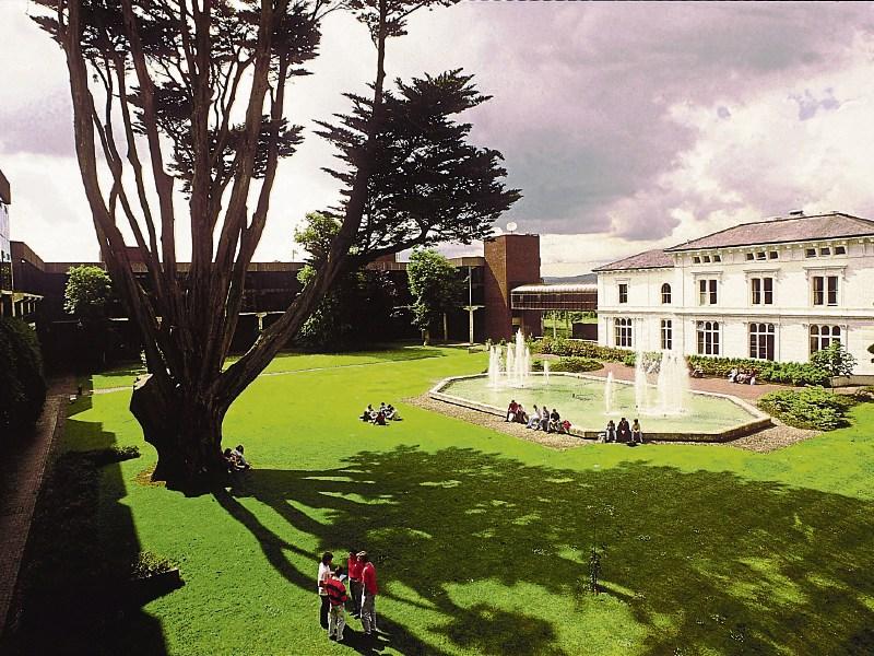 UL's failure to reinstate two whistleblowers is 'notorious' says O'Dea