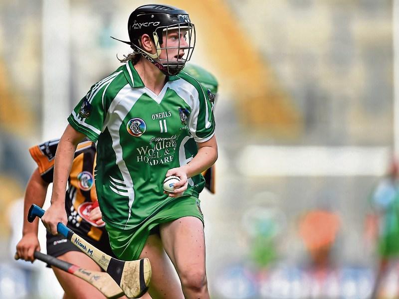 Limerick camogie side look to build on bright start to&nbsp;league