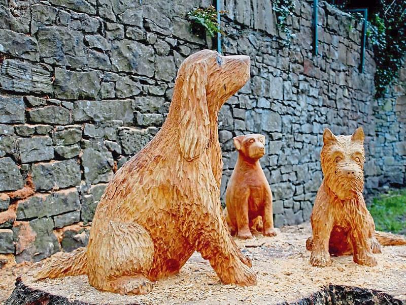 All bark and no bite: Sculptures appear in Limerick's People's Park
