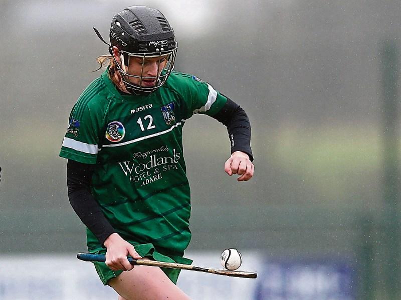 Unbeaten run continues for Limerick camogie
