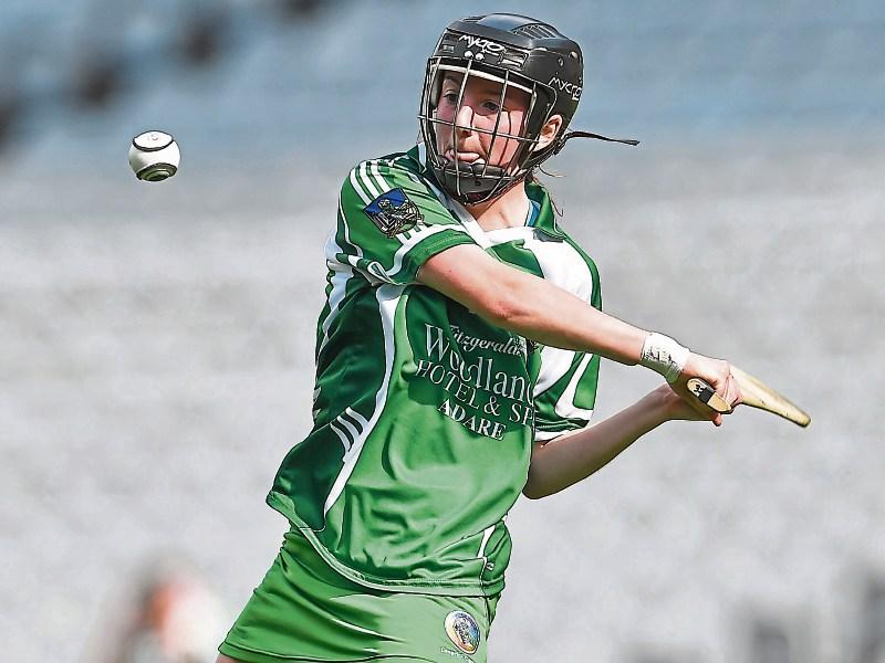 Limerick camogie side into Cork league play-off after Kilkenny defeat