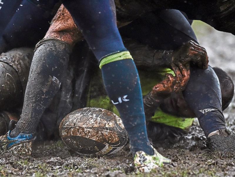 UL Bohs and Shannon target AIL 1B victories 