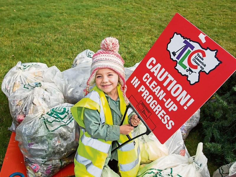 Team Limerick Clean-Up: Days like this are 'good for the soul'