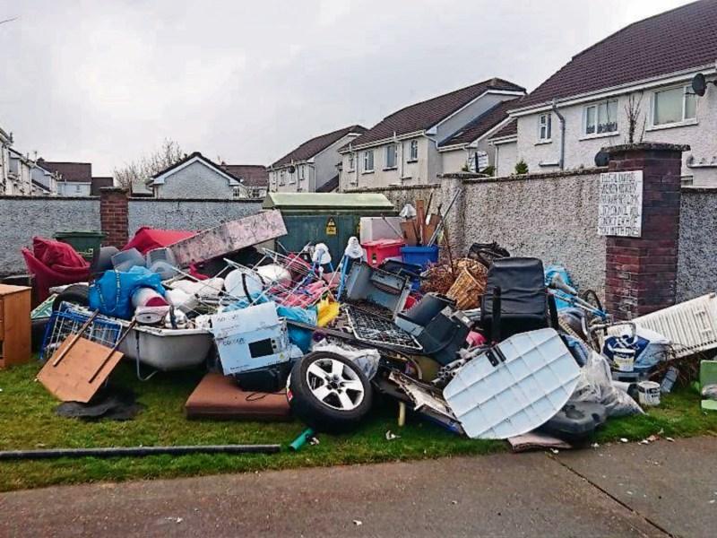Council to probe illegal dumping case in Limerick