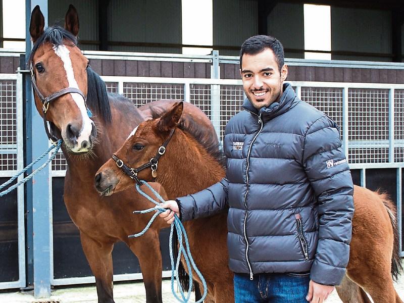 Sheikh Fahad dreams of Limerick Classic winners as he visits foals