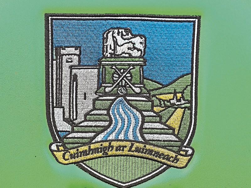Election time this Tuesday at Limerick GAA meeting