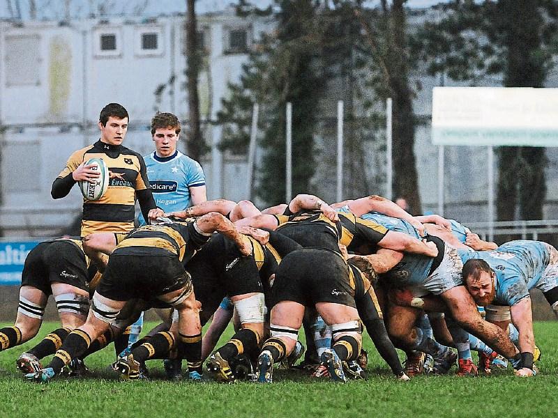 Limerick rugby fixtures for the week ahead