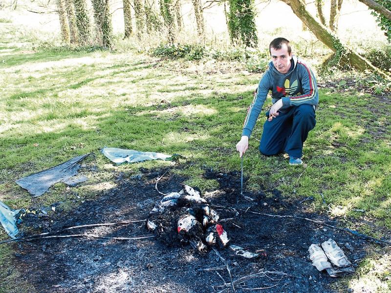 Homeless man sleeps in tent close to Limerick's most exclusive address