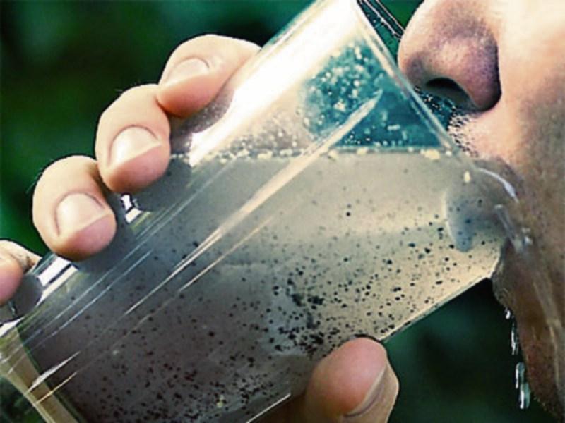 'Long enough you were all drinking bog water without complaining'