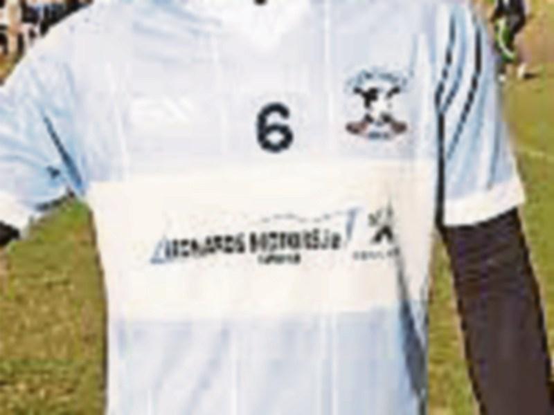 Na Piarsaigh create shock in Limerick SFC