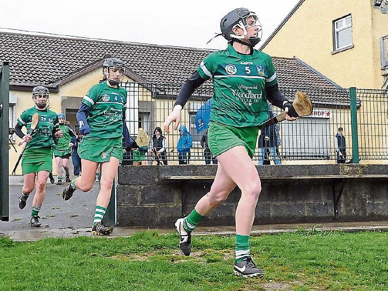 Limerick go for first Munster camogie title
