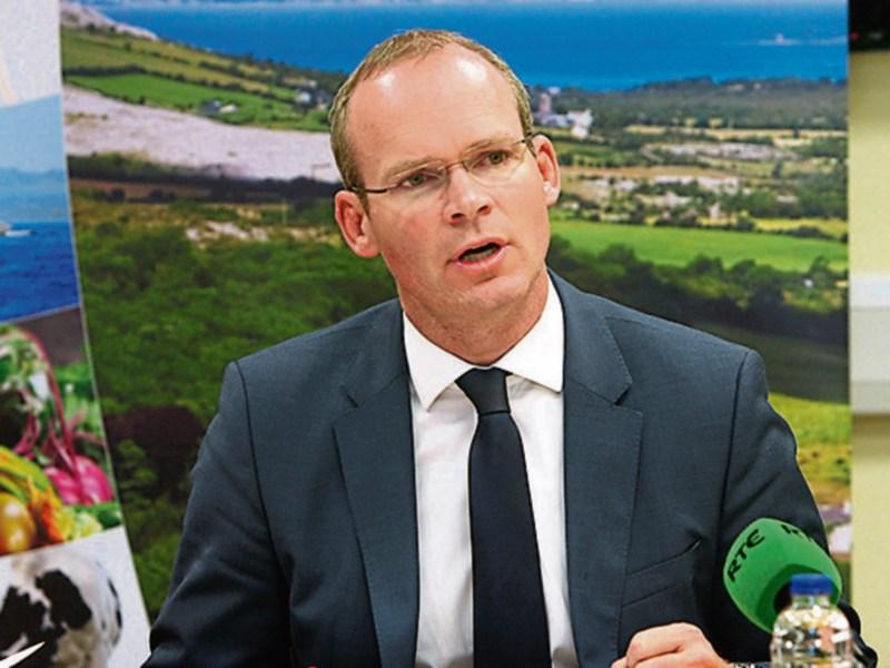 Limerick to Cork motorway could be back on agenda after review