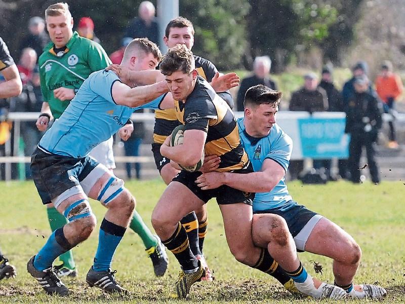 Four Limerick players in Amsterdam and Newcastle 7s action