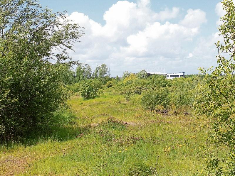 Bord Pleanala refuses plans for 110 houses in Limerick