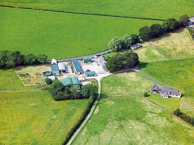 Limerick stud farm sells for over &euro;1m at auction