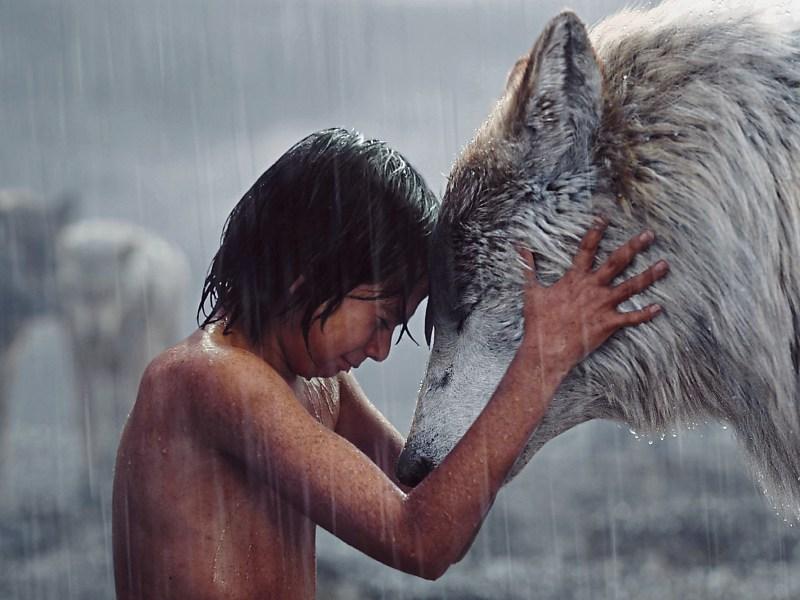 Glenstal monk's ancestor inspired Jungle Book