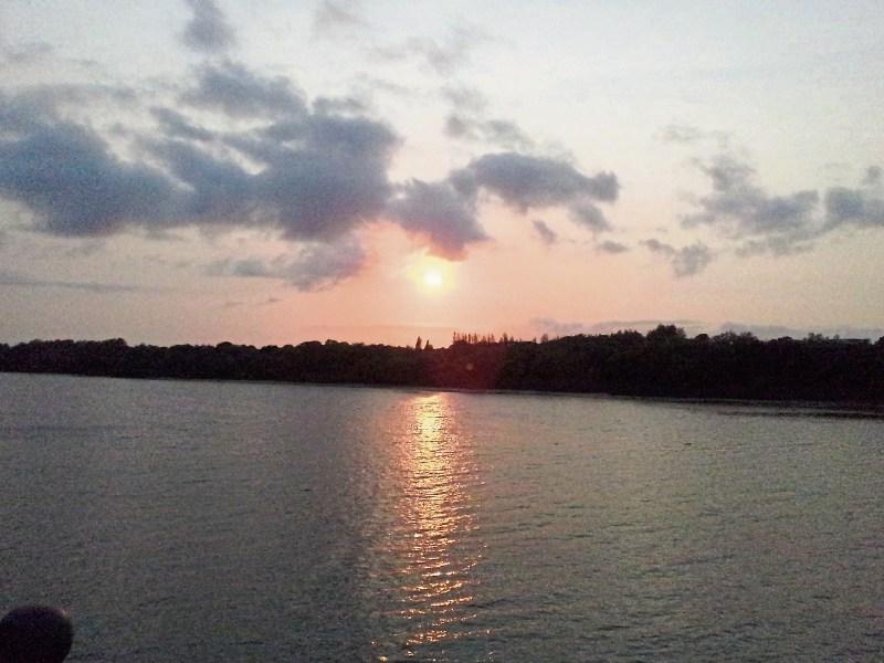 Dramatic river rescue staged in Limerick