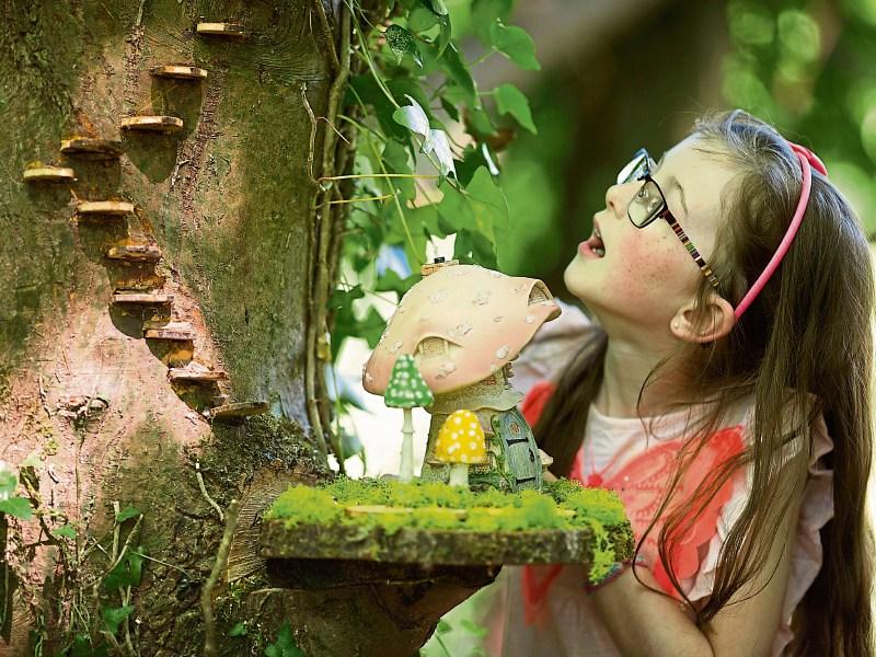 Shannon Heritage to launch a 'fairy wonderland' at Bunratty