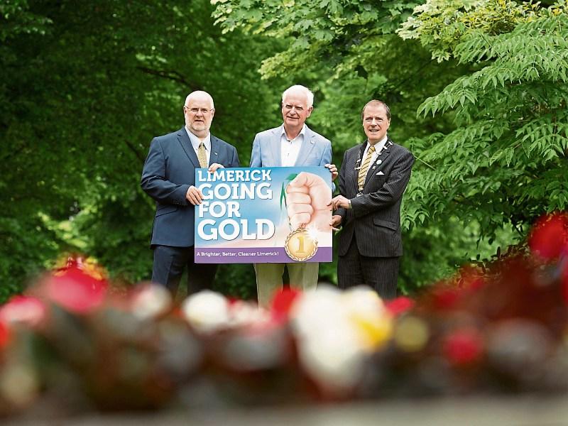 Call goes out for Limerick gardeners looking to win gold