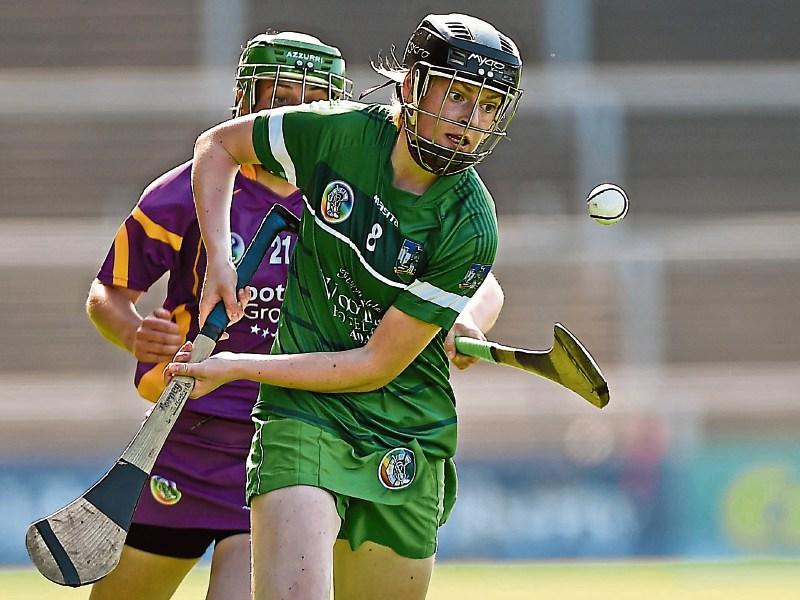 Limerick begin quest in All Ireland camogie championship