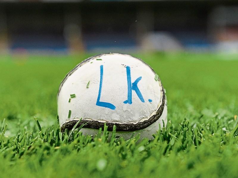 Limerick camogie side lose in championship opener