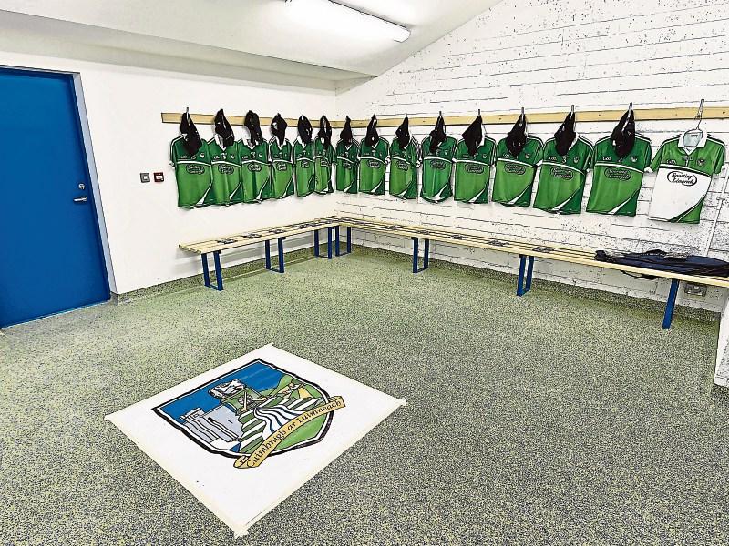What the papers said about Limerick's Munster championship exit