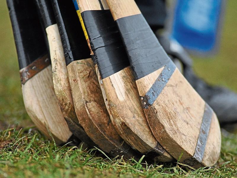 Limerick camogie side get the better of Clare