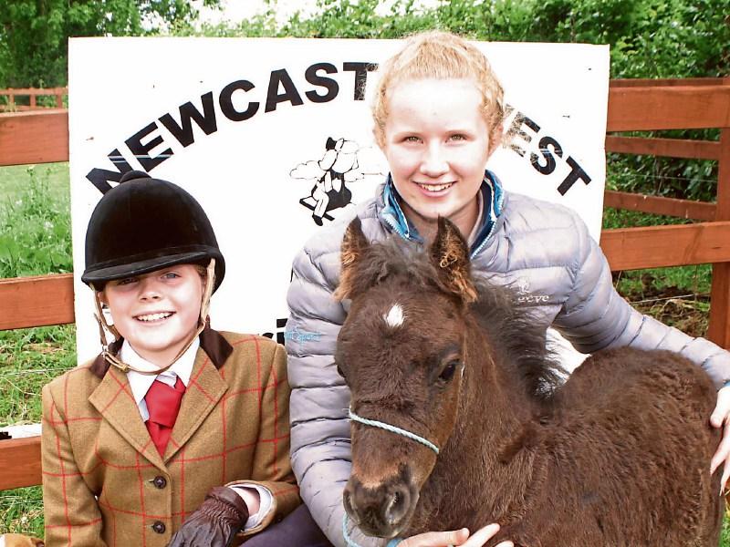 Tradition meets family fun at Newcastle West Agricultural Show