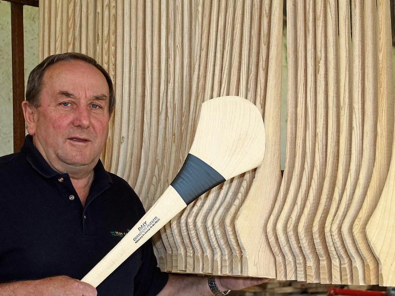 Ash dieback disease threatens the hurley