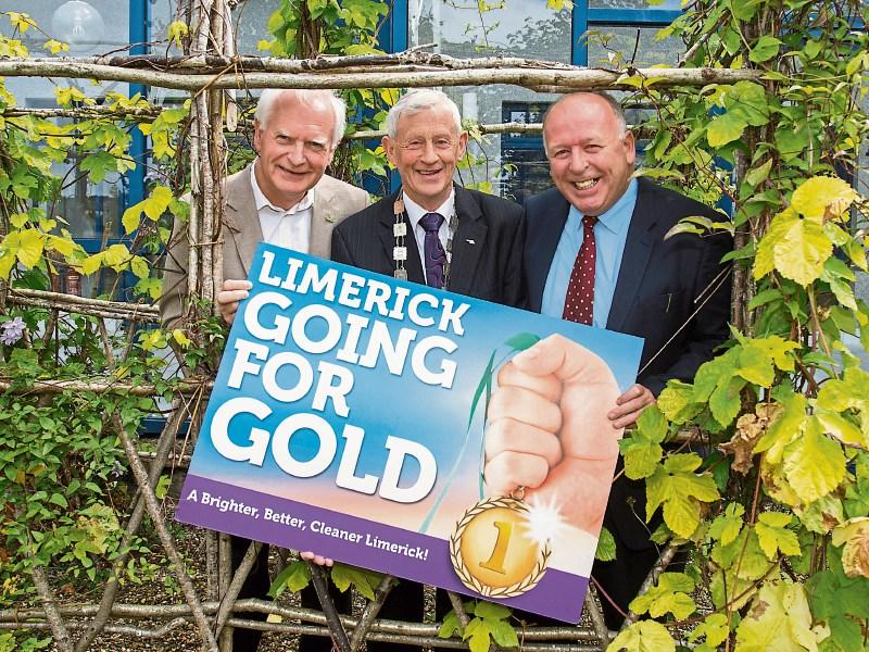 Limerick communities bid for gold