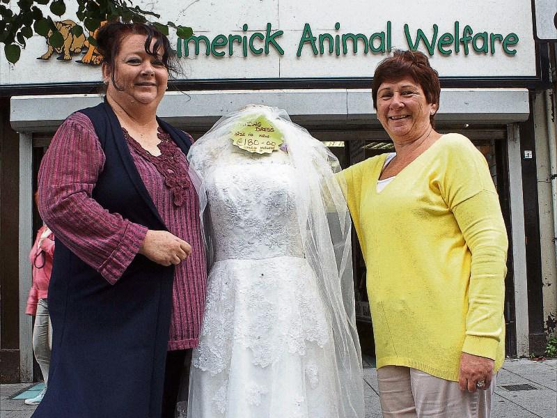 Top labels in Limerick for a fraction of the cost