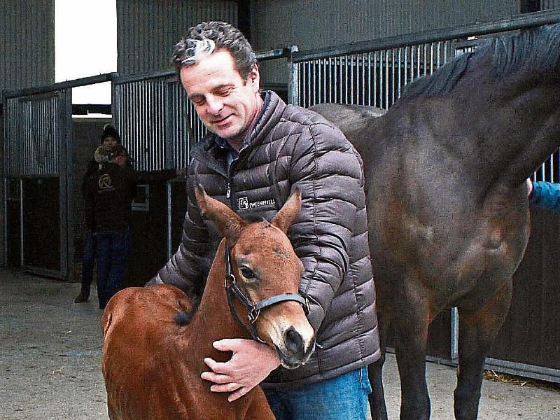 Limerick stud farm owner follows route of Genghis Khan