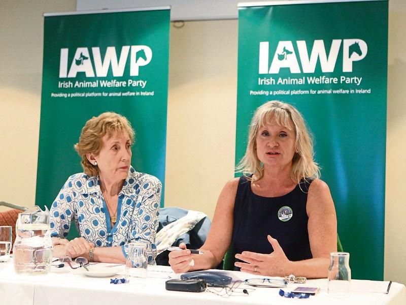 Limerick gives birth to new political party
