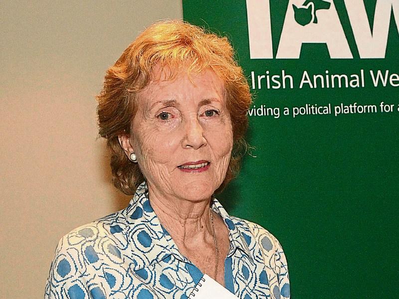 Limerick Animal Welfare boss: 'No more room for horses'