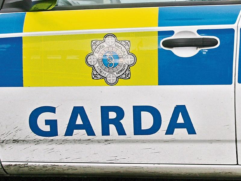 Limerick gardai seize drugs and firearms