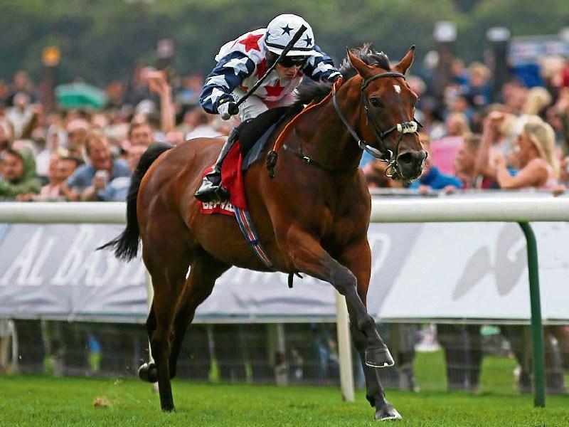 Limerick jockey captures big Ebor prize at York